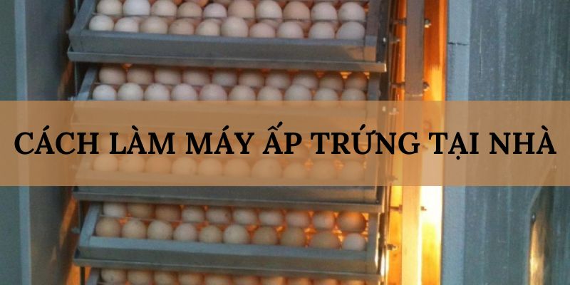 Banner www.hatngon.vn