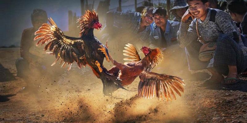 Banner www.hatngon.vn