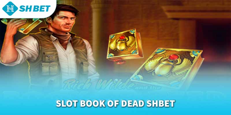 Banner www.hatngon.vn