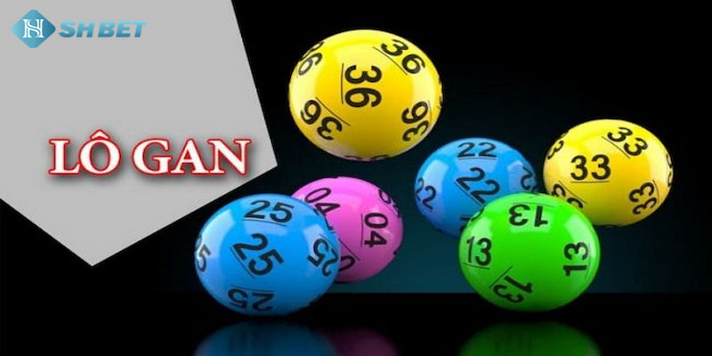 Banner www.hatngon.vn