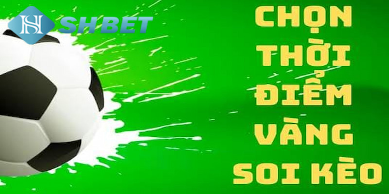 Banner www.hatngon.vn